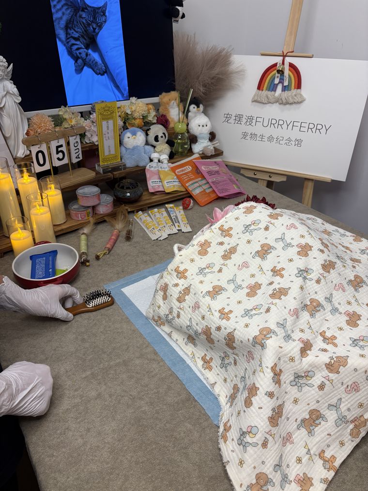 榆林老年宠物临终前，主人最该做的五个准备
